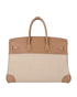 Birkin 35 Toile And Swift In Biscuit, back view